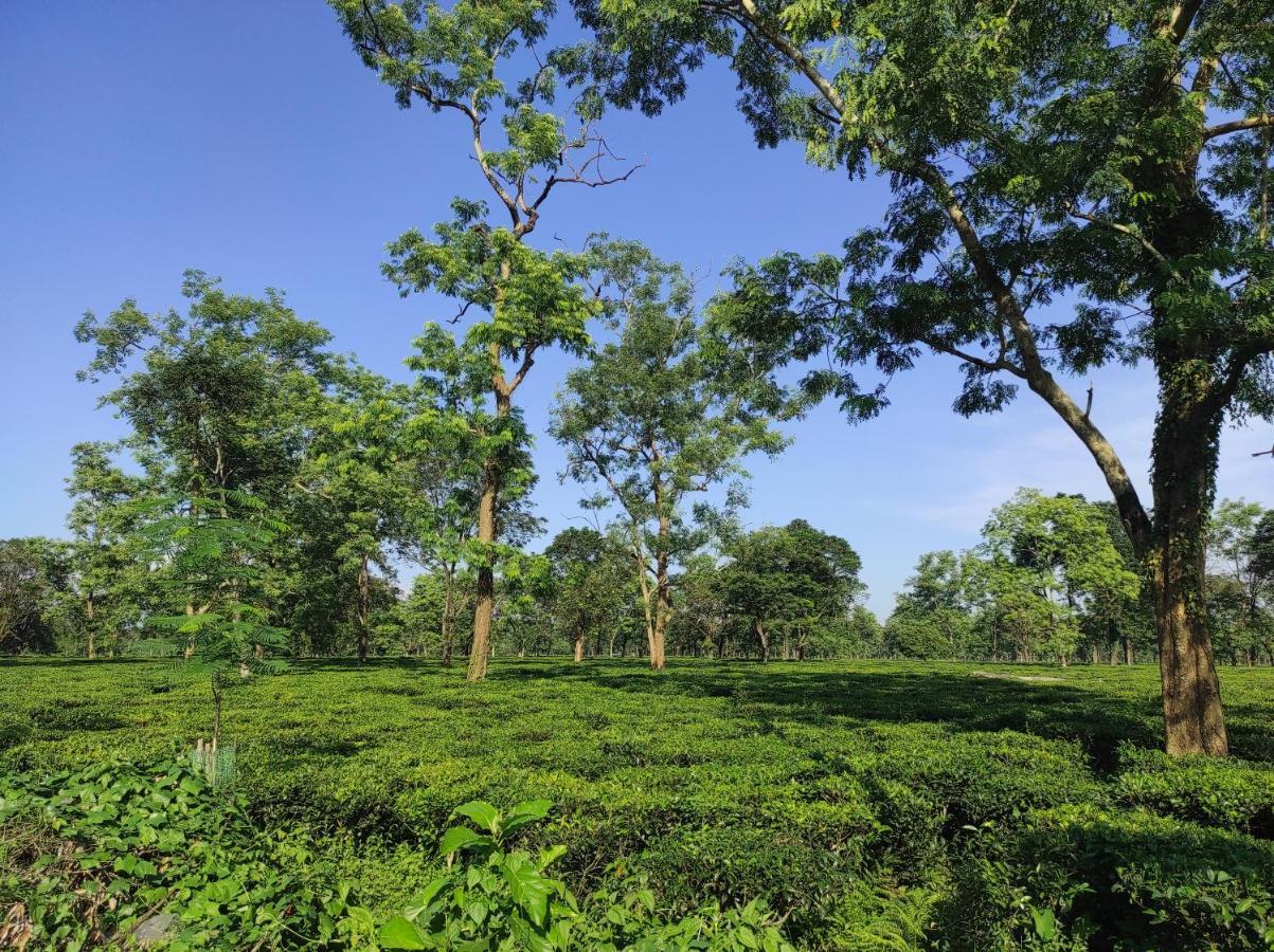 Manas Green Home Stay Jyoti Gaon Extérieur photo